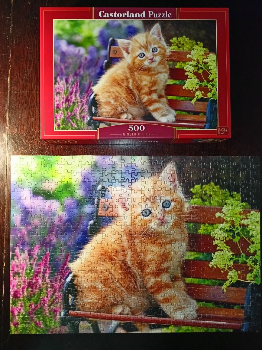 Puzzle Castorland 500 elementów Ginger Kitten (Rudy kotek)
