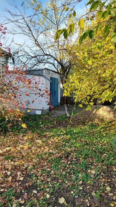 Продам два житлових будинки з великими ділянками які розташовані поряд