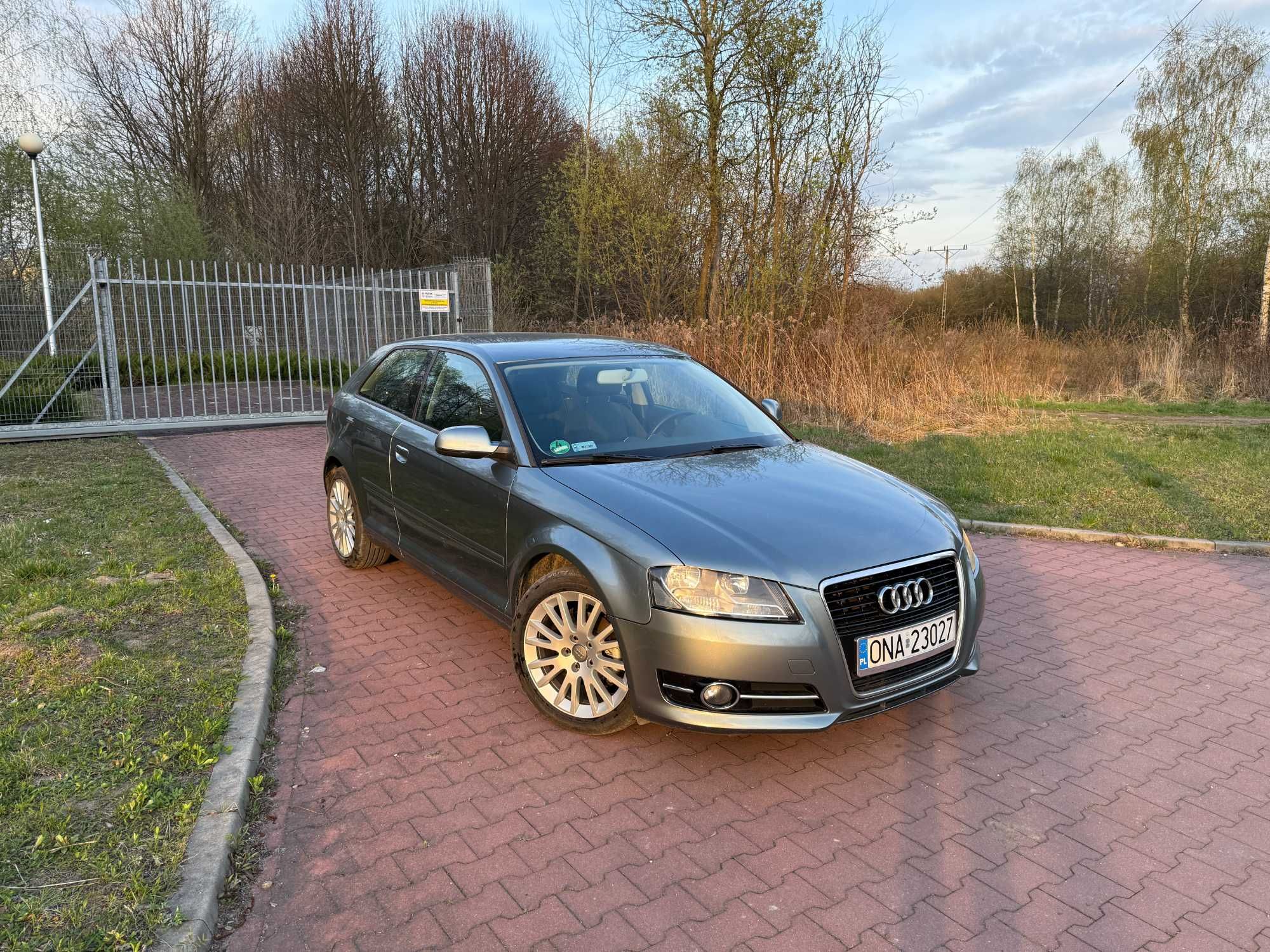 Audi A3 8P 2010 Ambiente