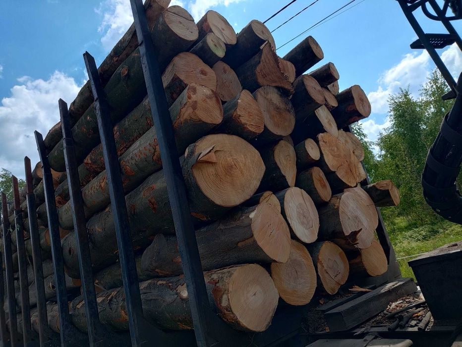 Drewno Kominkowe Opałowe ilości Cało Tirowe