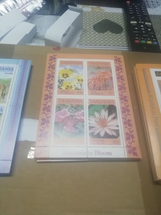 Selos blocos Tanzânia