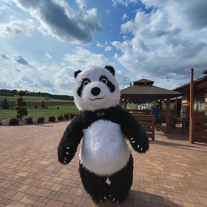 Wynajem Biały Miś dmuchańce zjeżdżalnie dmuchane domki Misie 2,6m