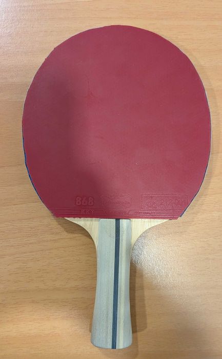 Raquete ténis de mesa/ping pong palio expert 3.0