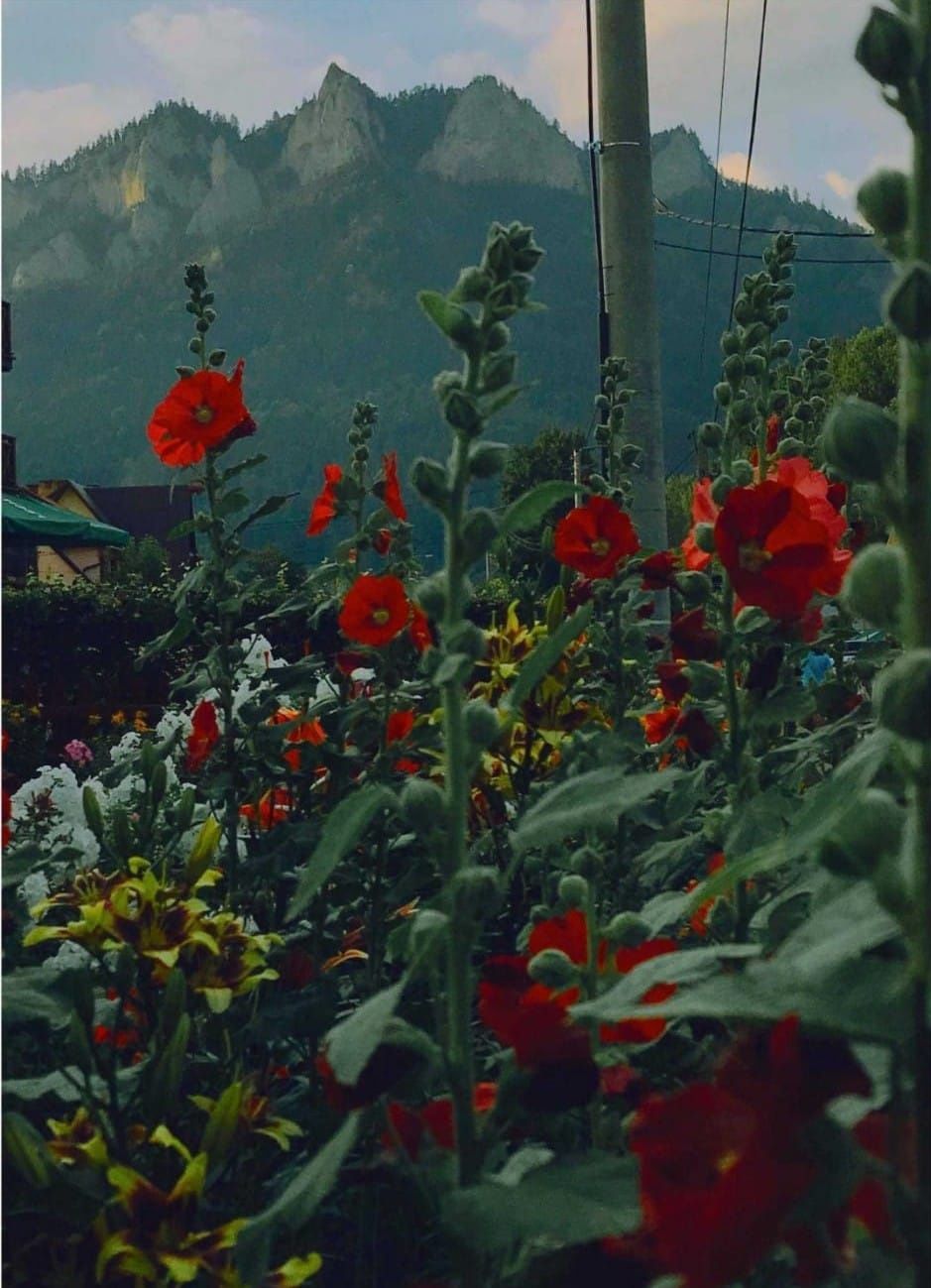 Pokoje gościnne u flisaka, noclegi, Pieniny, spływ Dunajcem, Trzy Koro