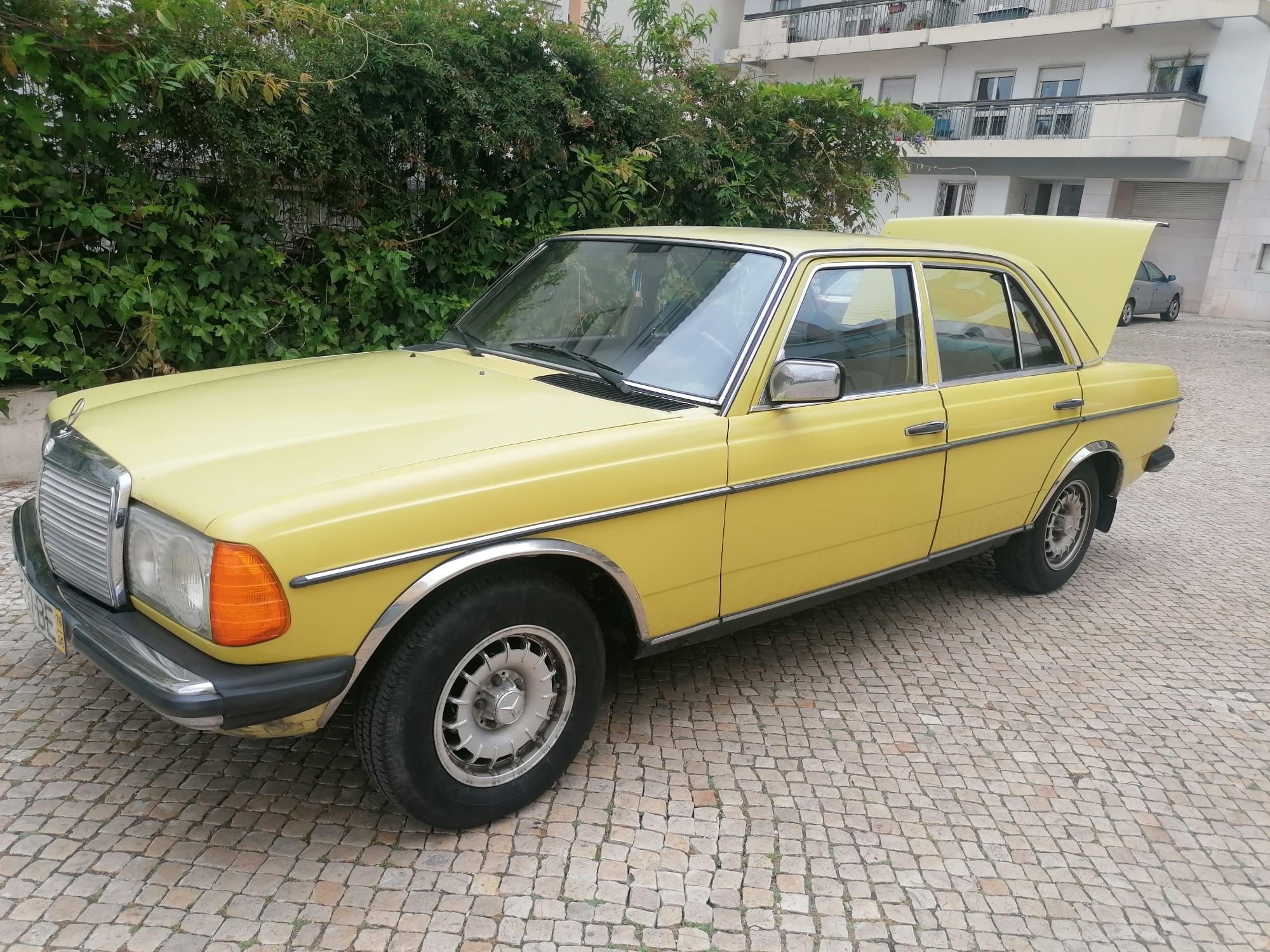Mercedes 300d - 261 000 km [Ano 1976]