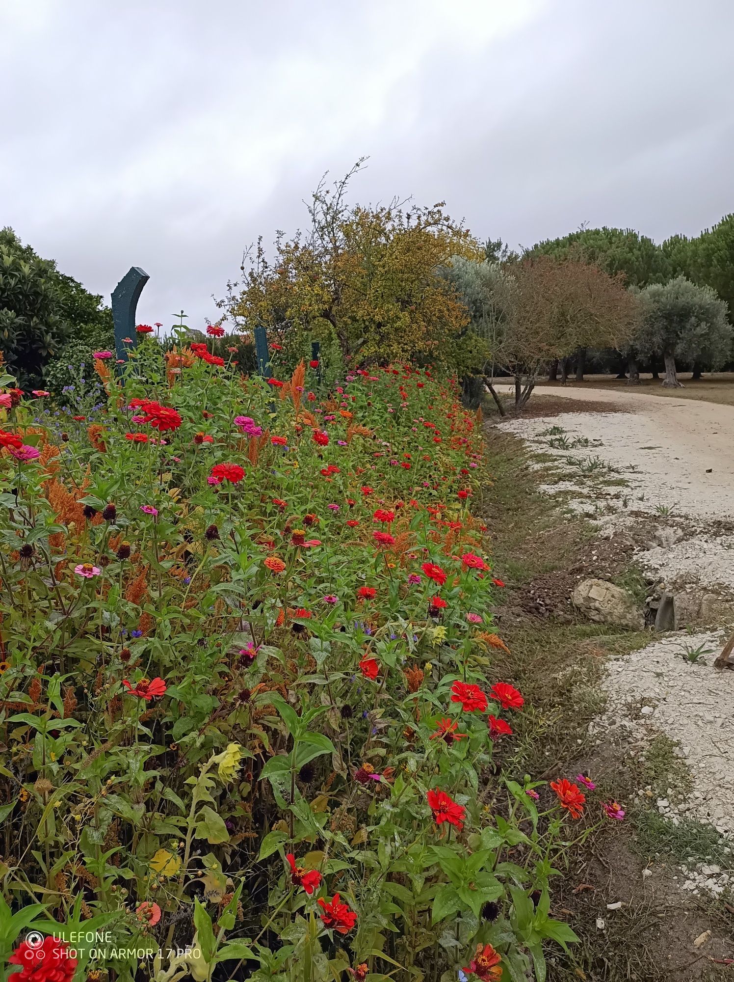 Jardineiro Ferreiragarden