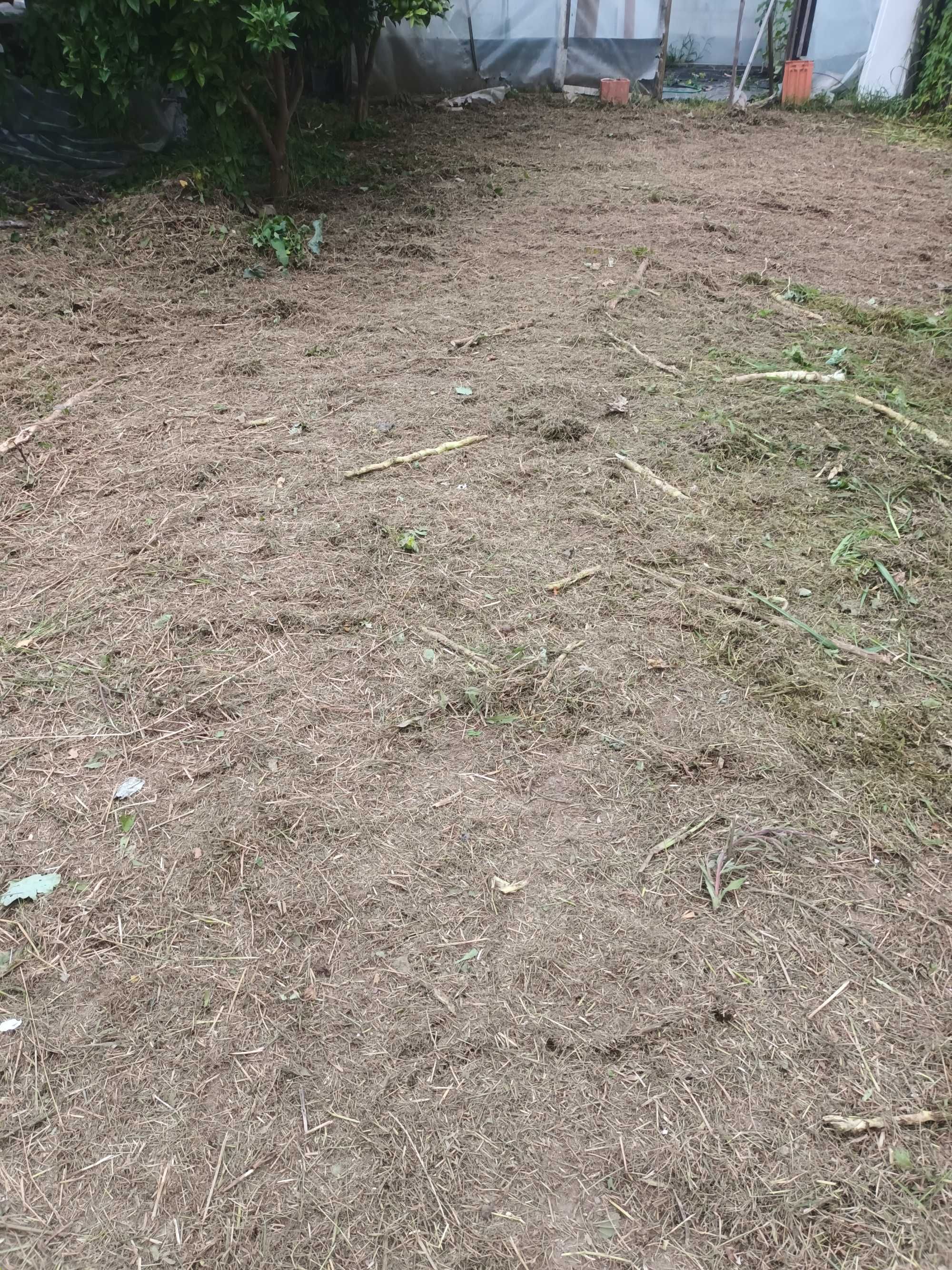 Limpeza de terrenos e jardinagem