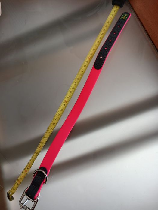 Coleira rosa nova