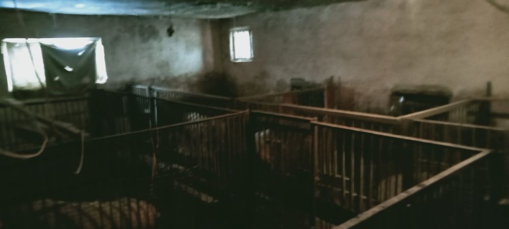 Господарський двір з будівлями