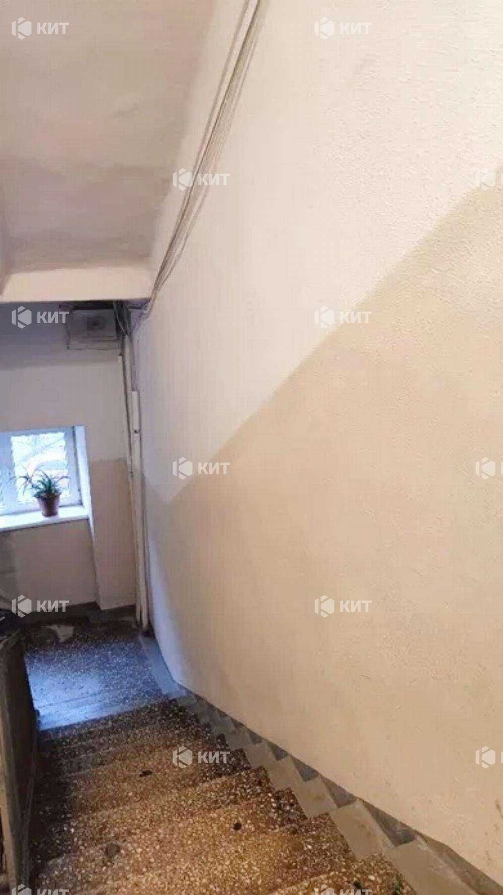2к. 52м2 Центр (ул. Мироносицкая 99, Парк Горького) 128884