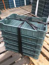 Ящик для ягід ЧЕШКА (600x400x115) на 10 кг