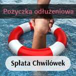 Prywatna pożyczka oddłużeniowa. Prywatny inwestor. Kredyty.