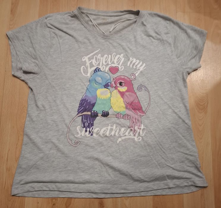 koszulka z nadrukiem papużek