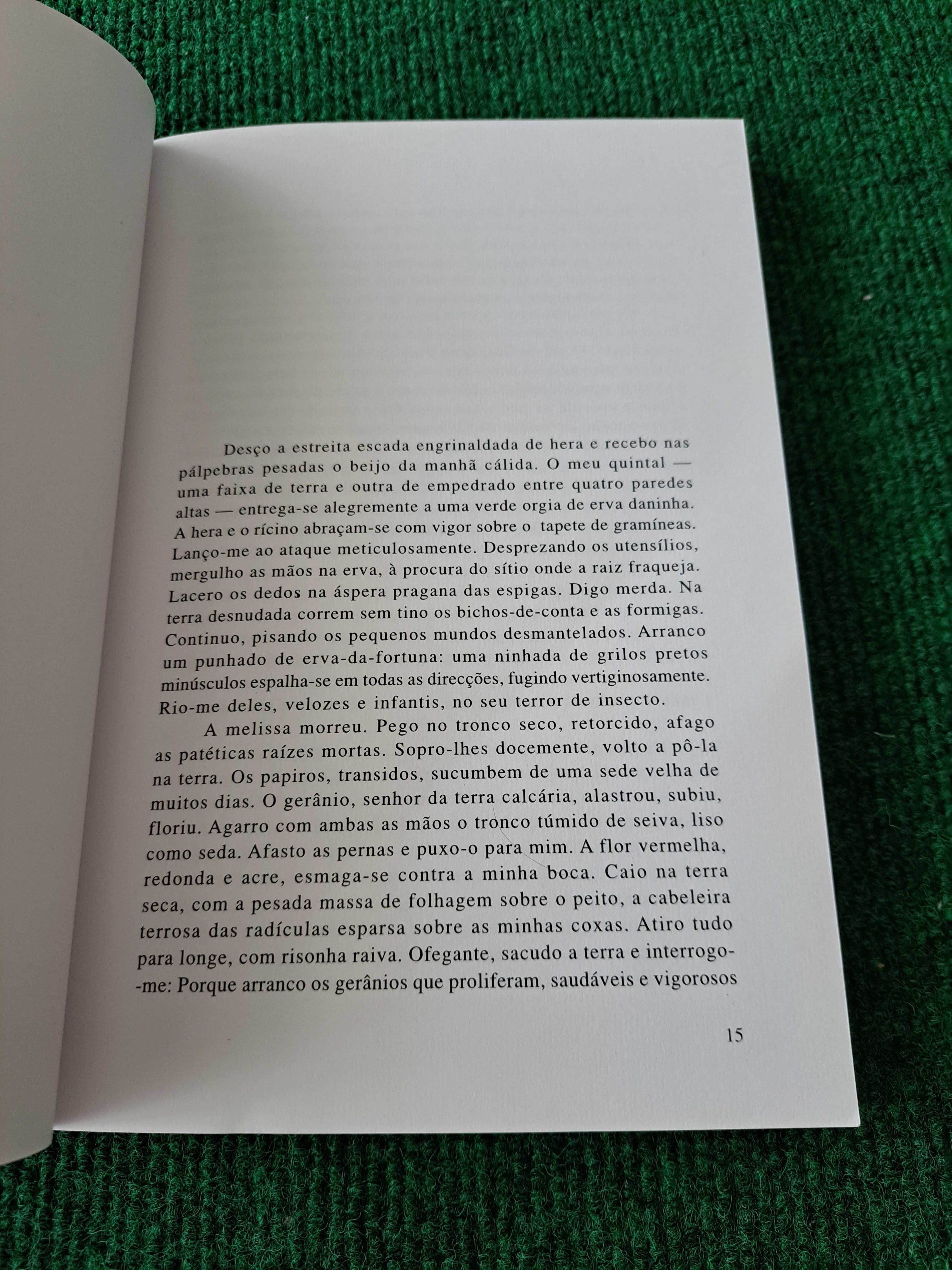 Dias da Prosperidade - Fernanda Dias