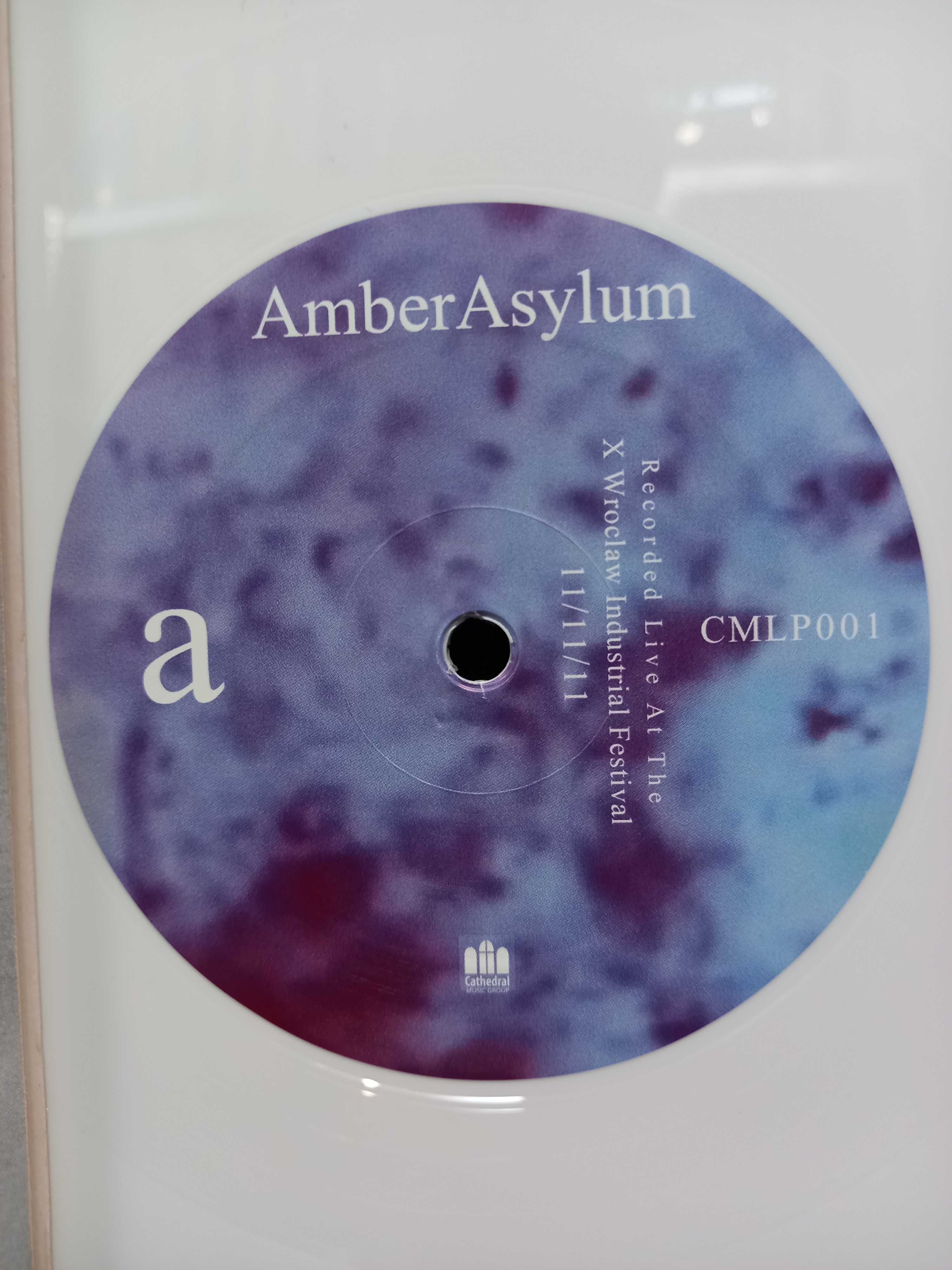 Amber Asylum – Live In Wroclaw