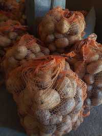 ziemniaki jadalne