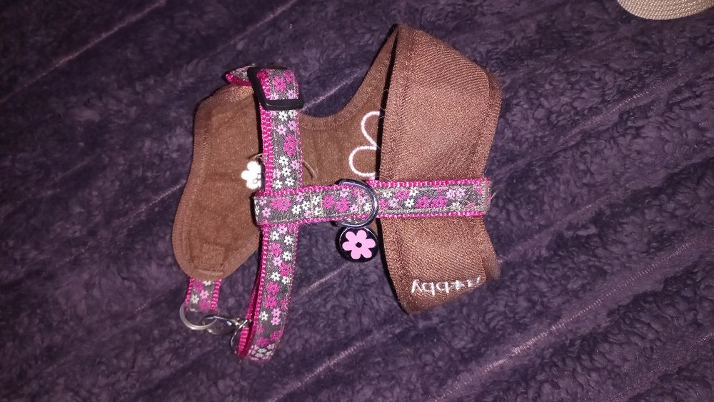 Переноска сумка кота+ошийник шлейка поводок.