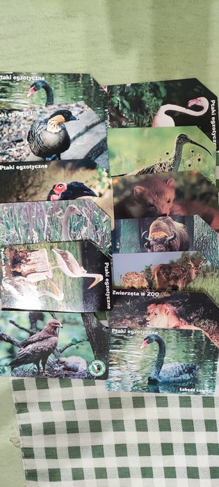 Karty telefoniczne zwierzęta