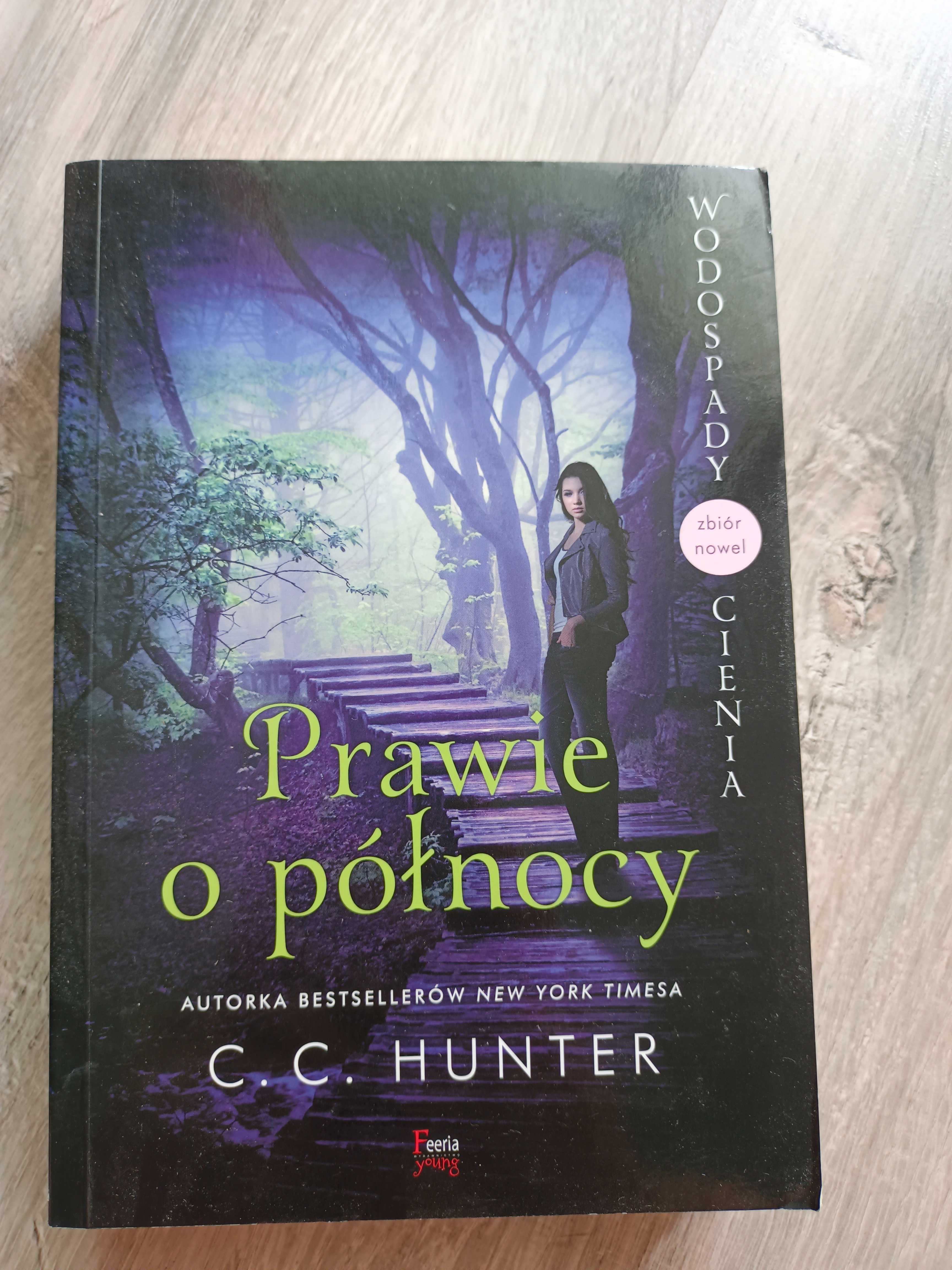 Prawie o północy - C.C. Hunter