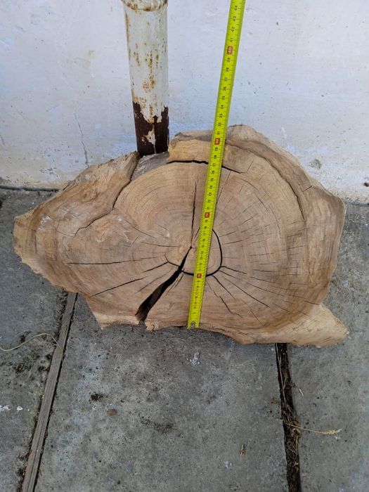 Слеб горіха продам