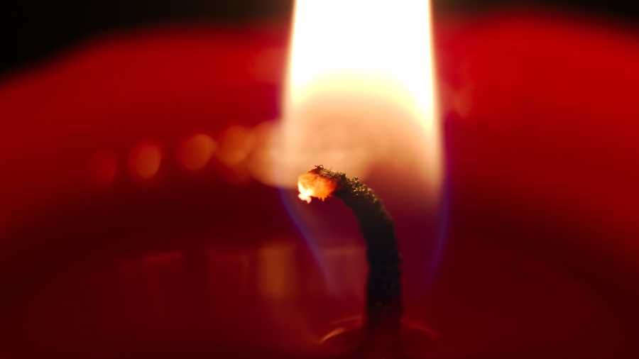 Объектив Tamron SP 90mm f/2.5 MC 52B | Macro \ Adaptall 2 \ Canon EOS