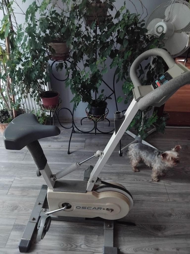 Rower stacjonarny