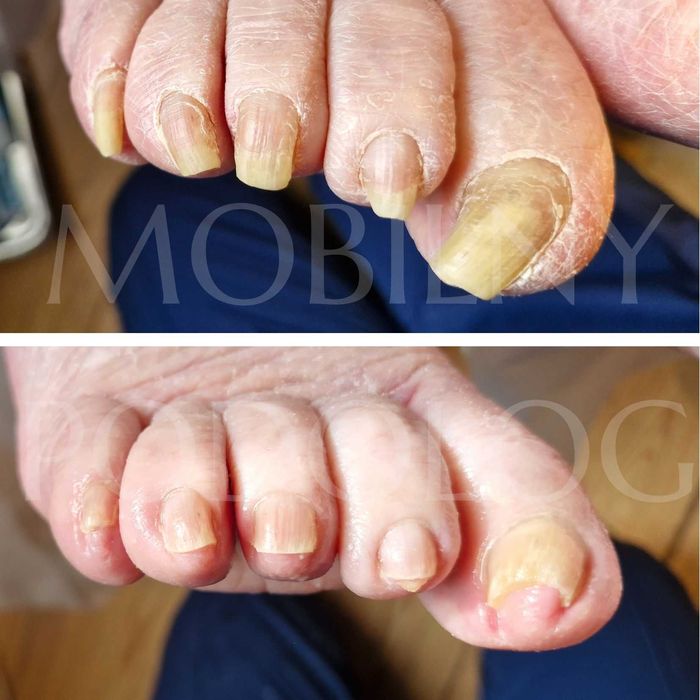 Mobilny Podolog - Gdańsk Pruszcz Gdański i okolice