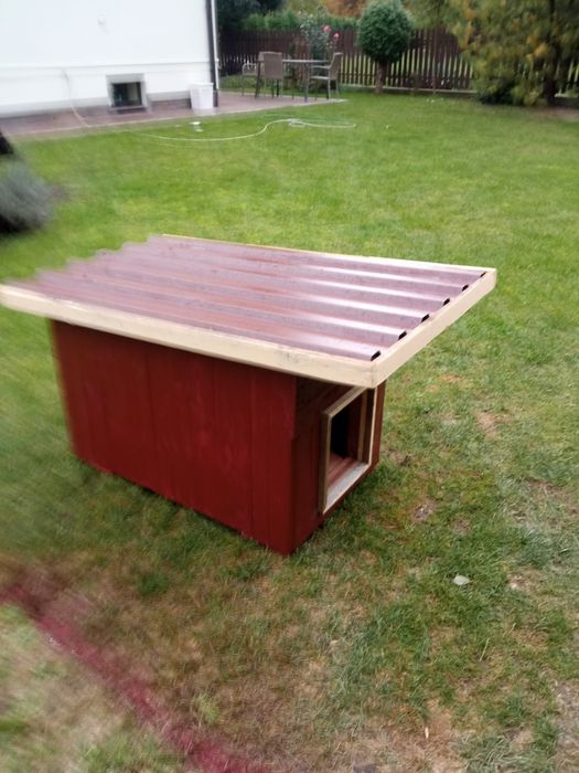 Budy dla psa  średnia i mała