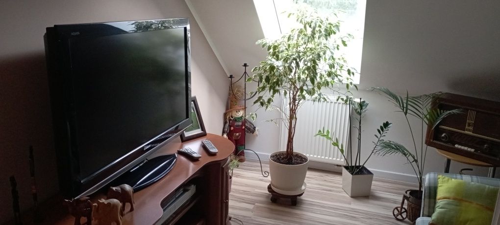 Wynajmę mieszkanie 2 pok
