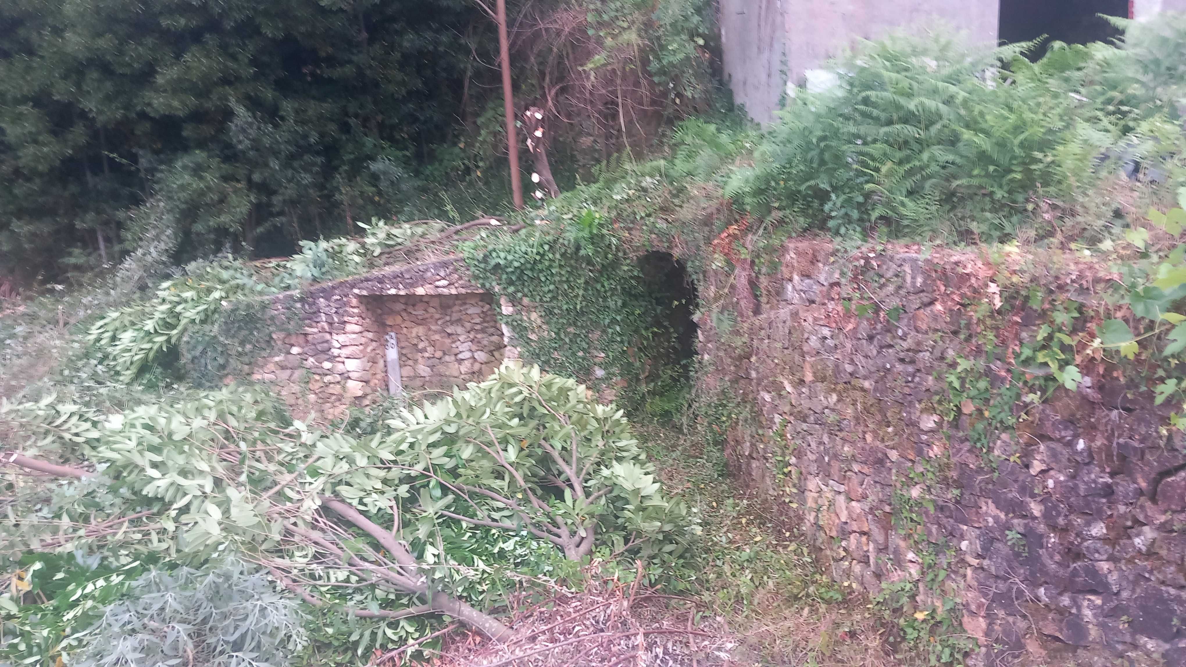 Vendo terreno1100m2