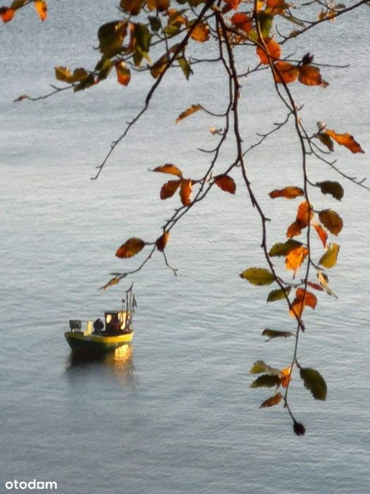 Gdynia I 3 pokoje I nad morzem I kameralna dzielnica I do remontu
