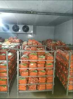 Холодильна камера для овочів  0 + 6 °C (Львів, Буськ, Трускавець)