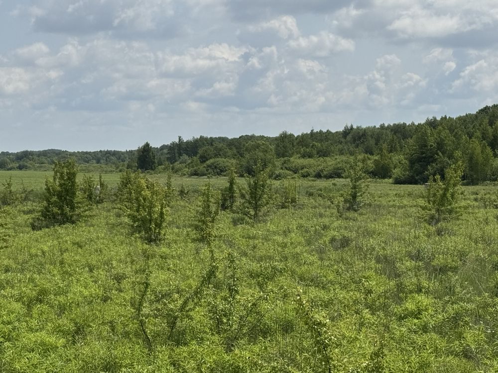 Земельна ділянка 25га.Терміново!Фасова. 35$/сотка!