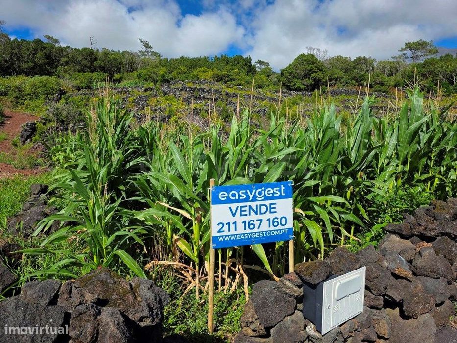 Terreno com 8.527 m² para construção no Campo Raso, Candelária, Ilh...