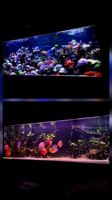 Lampa Aquailumination hydra 32