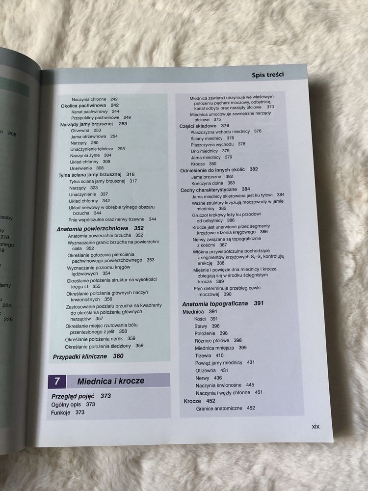 Anatomia Gray tom 2 książka
