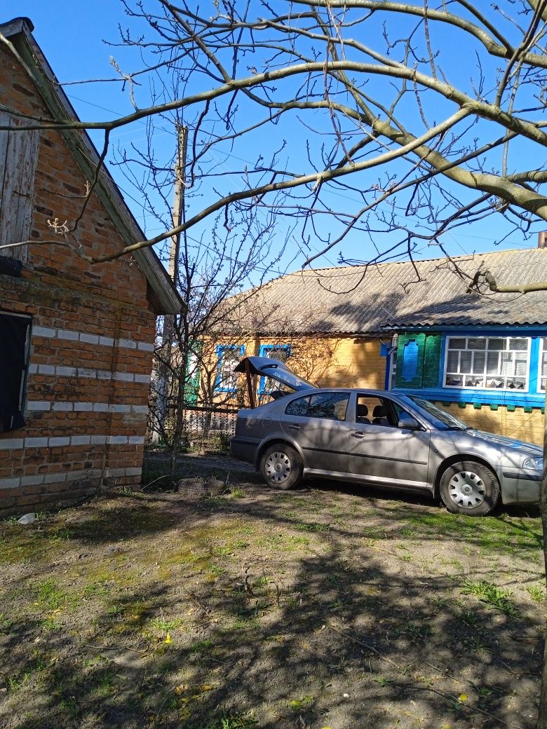 Продається будинок в Андрушівському районі
