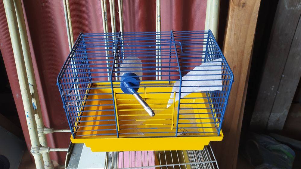 Клетка для хомяка размер 27/21/17 см