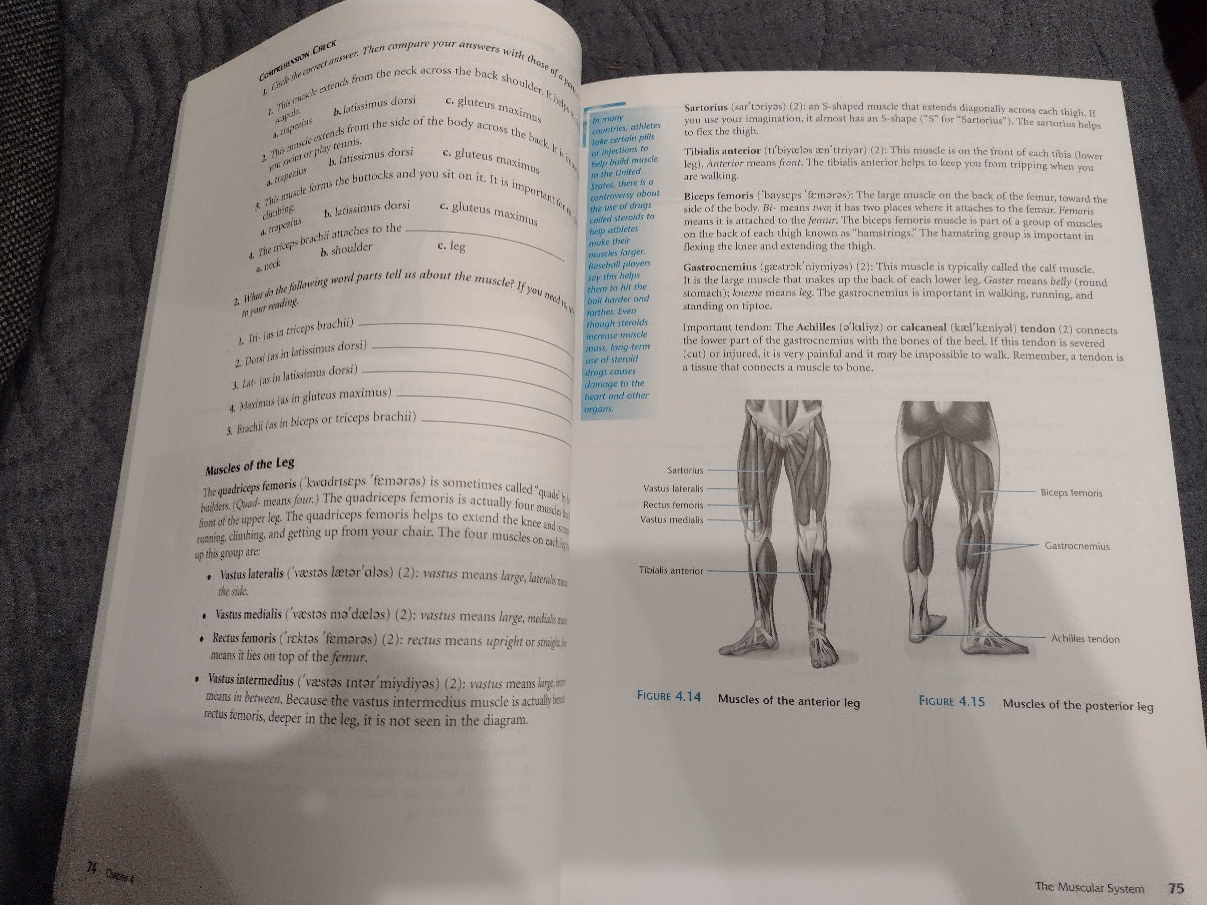 Anatomy and physiology for english  podręcznik medyczny angielski