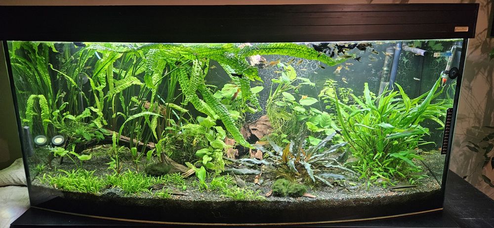 Akwarium panoramiczne 250l cały zestaw