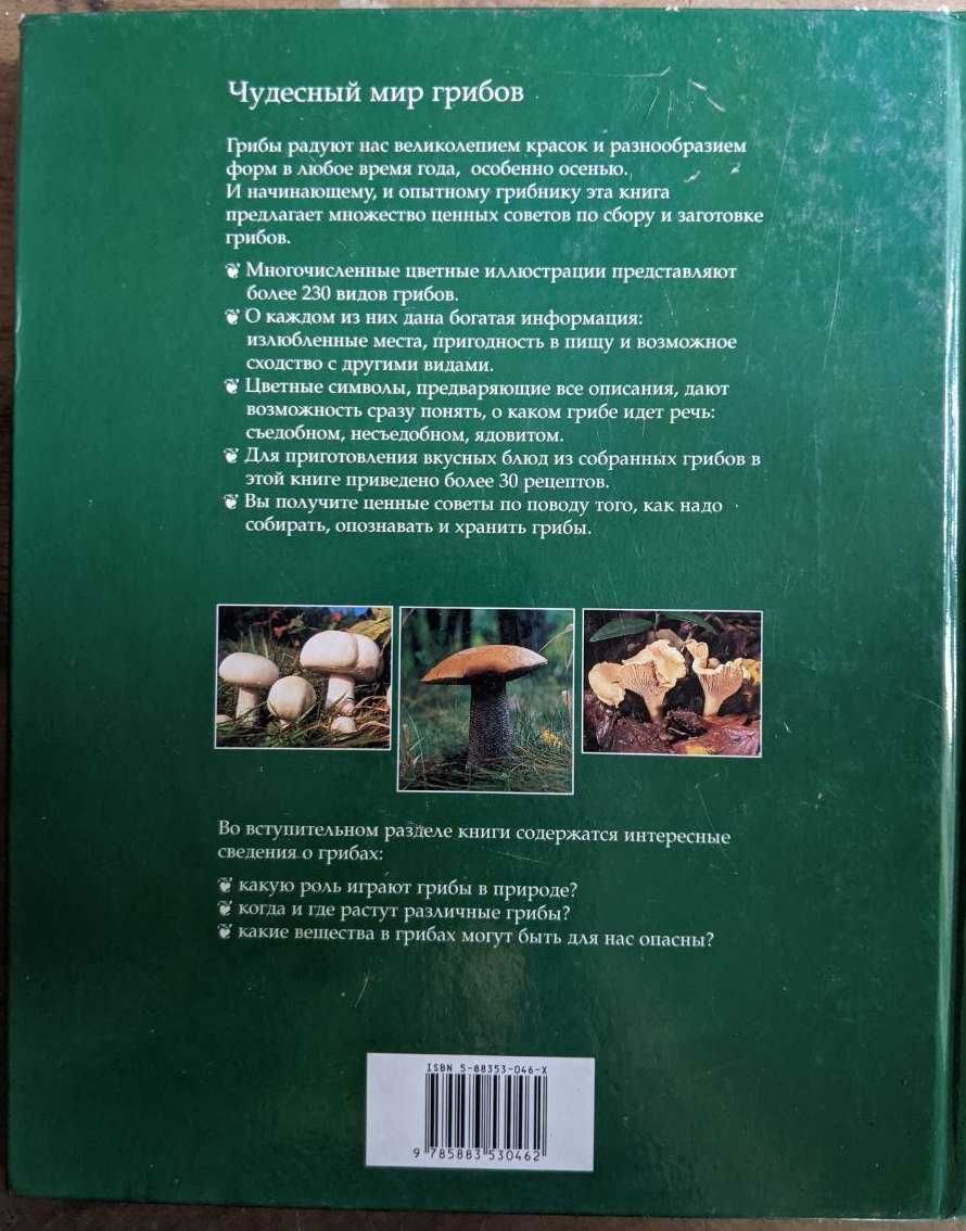 Мартин Кнооп Все о грибах