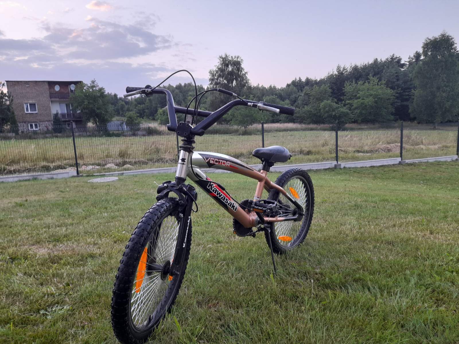 Rower Kawasaki BMX