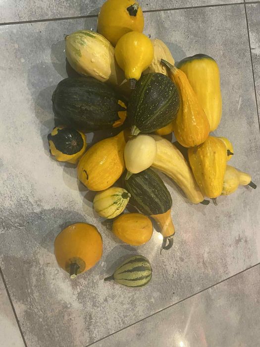 Dynia ozdobna mix 5kg