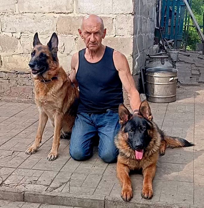 Две роскошные суки из питомника по 2,5 мес.