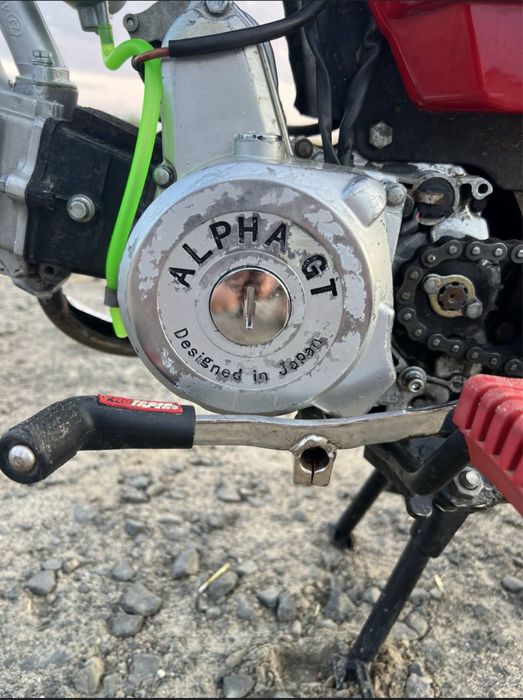 Продам помед Alpha Gt