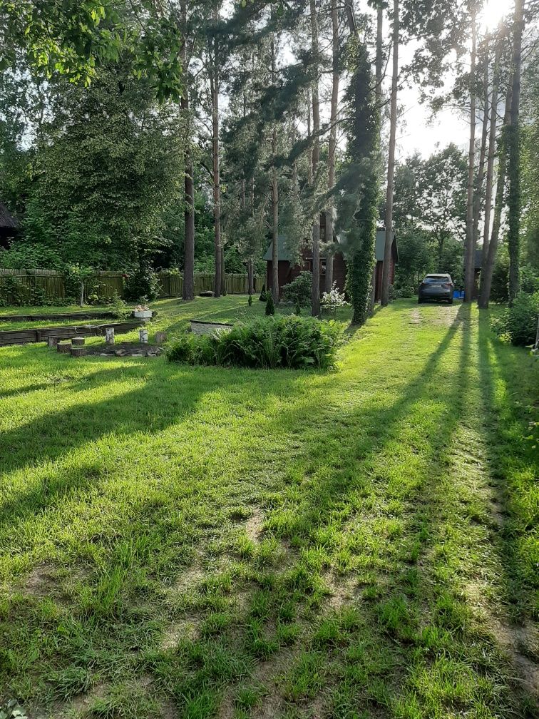 Domek letniskowy, 5 metrów od rzeki Narew!