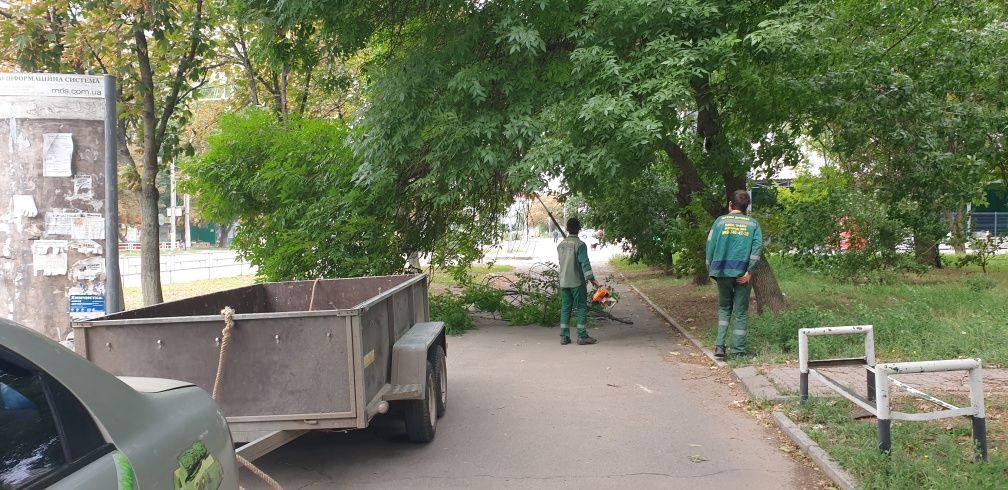 Вывоз мусора в Херсоне, измелчение веток!