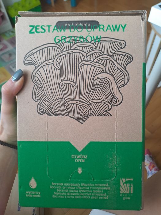 Zestaw do uprawy grzybów