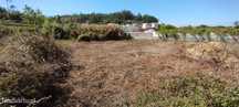 Terreno para Construção | Casal da Bemposta | S. Martinho do Bispo