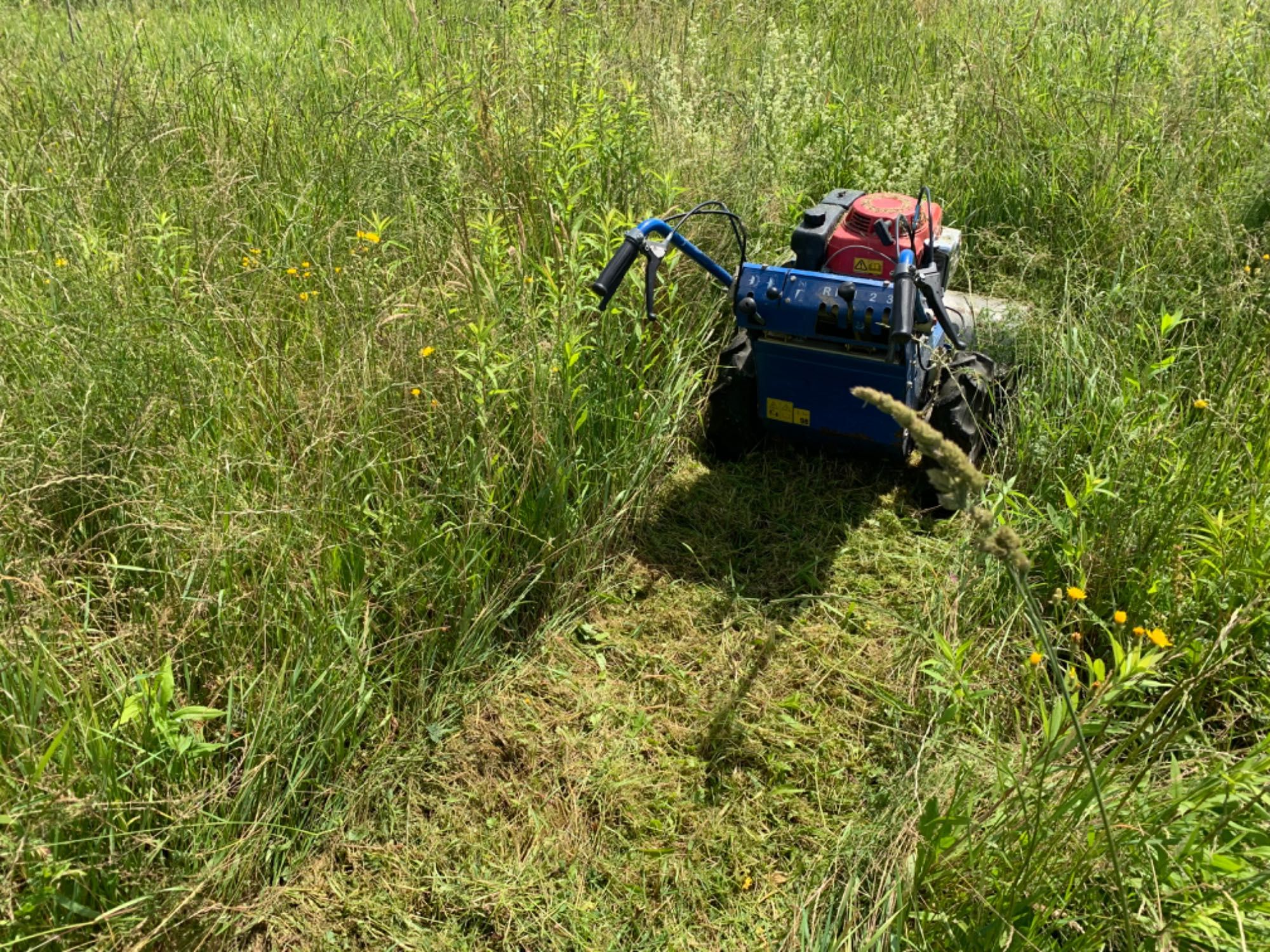 Kosiarka Bijakowa Spalinowa Stella S Track Profi Karczownica Honda